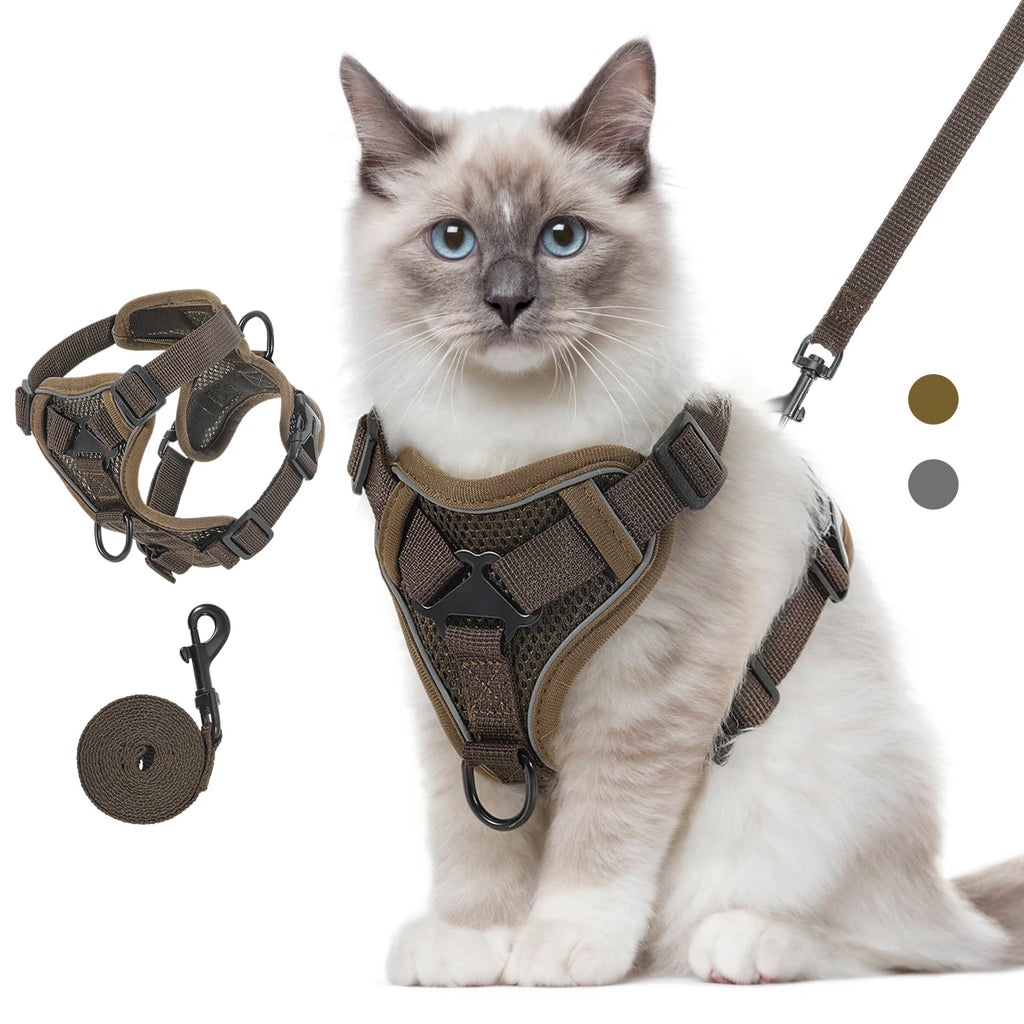 Cat Harness