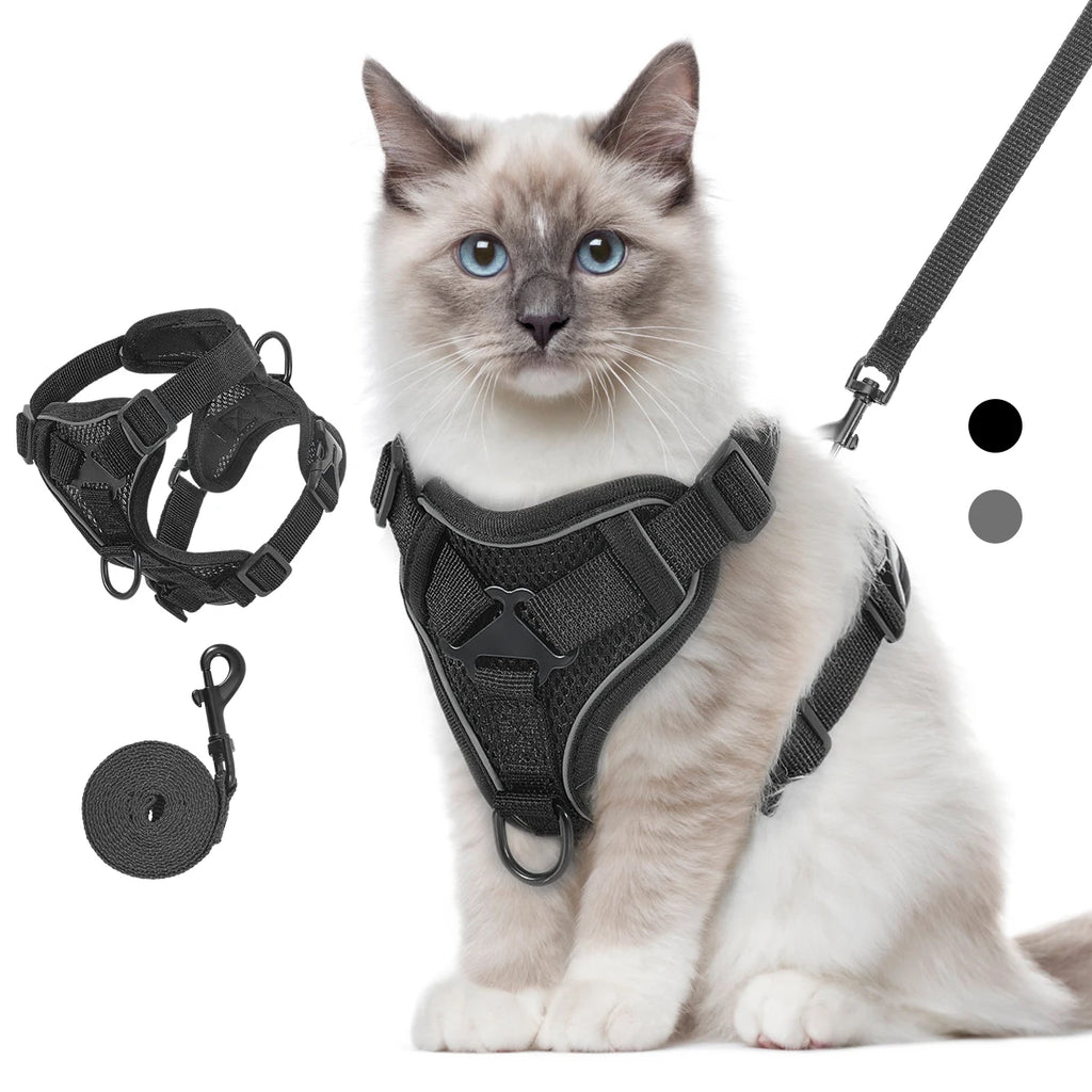 Cat Harness