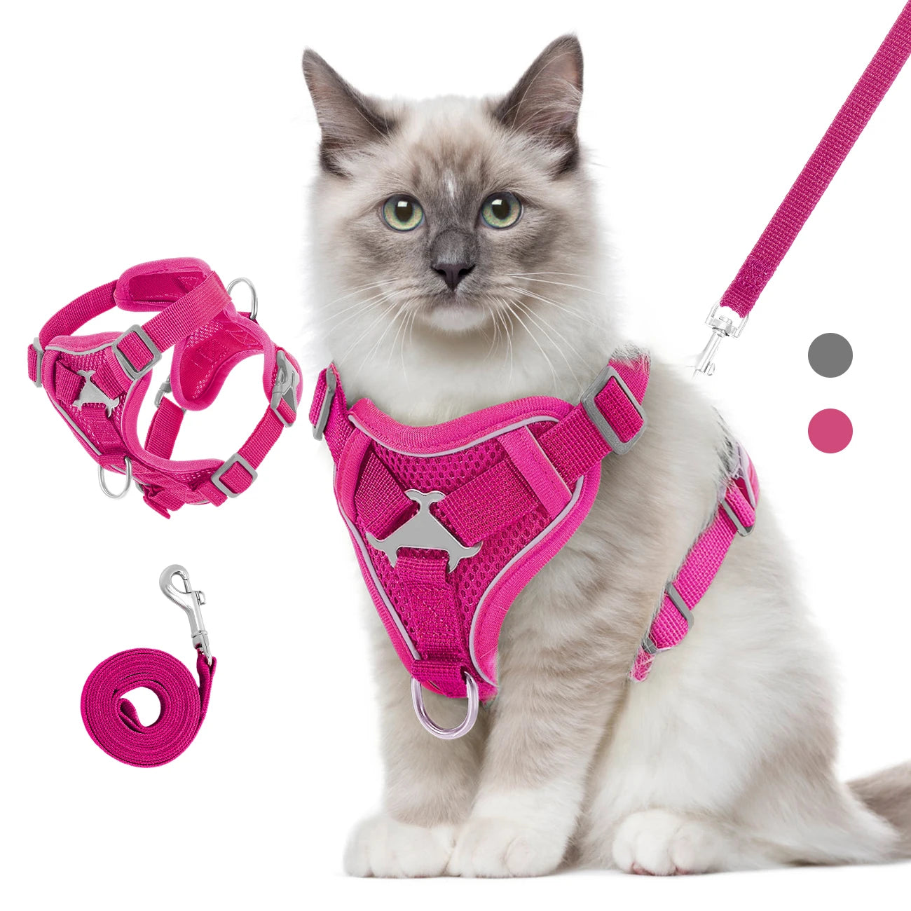 Cat Harness