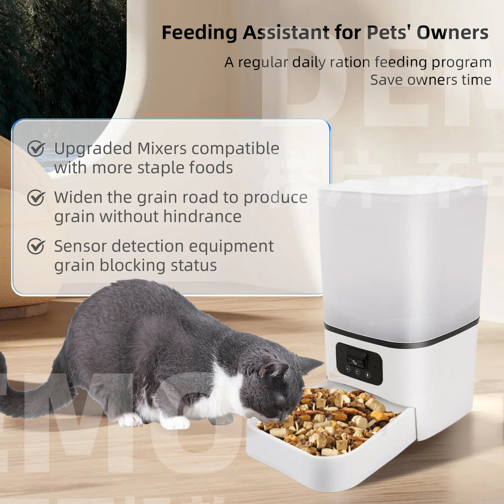 6L Button WiFi Camera Smart Automatic Dog Feeder Video Pet Food Dispenser APP Auto Feeder For Kitten Cat Bowl Accessories